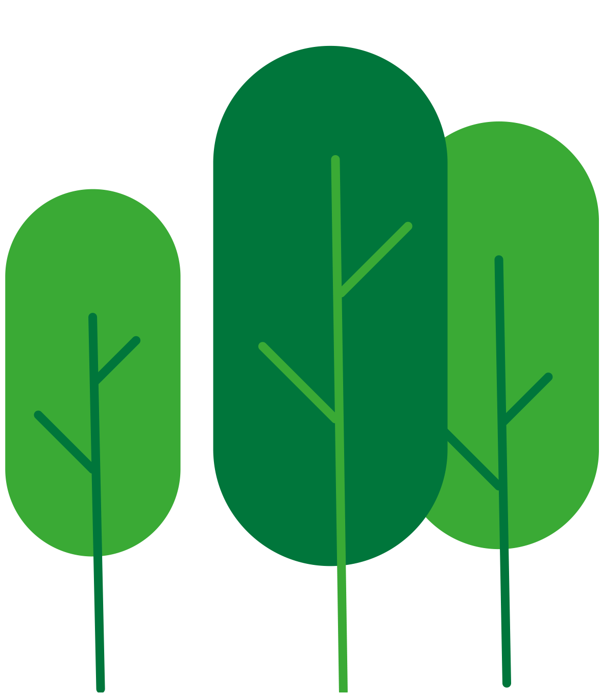 Arbres